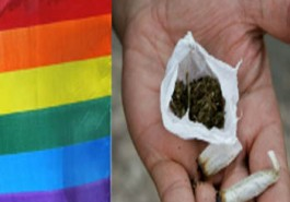 Pesquisa: maioria dos eleitores brasileiros são contra aborto, casamento gay e legalização das drogas