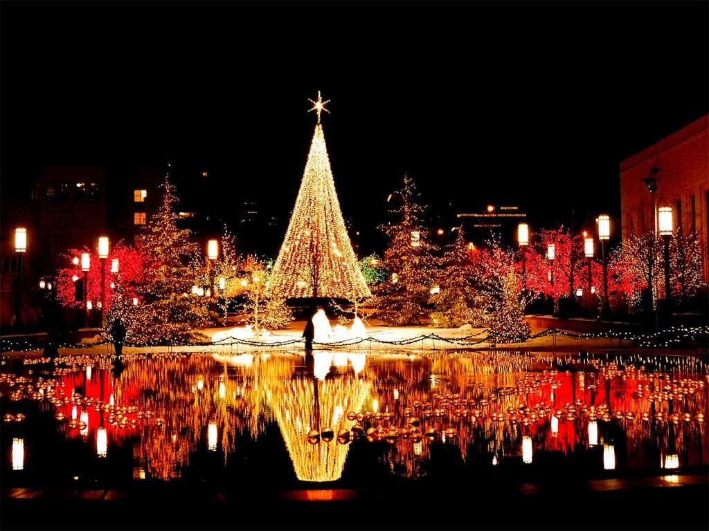 Natal: Procurando Jesus em meio às luzes, cores e árvores enfeitadas
