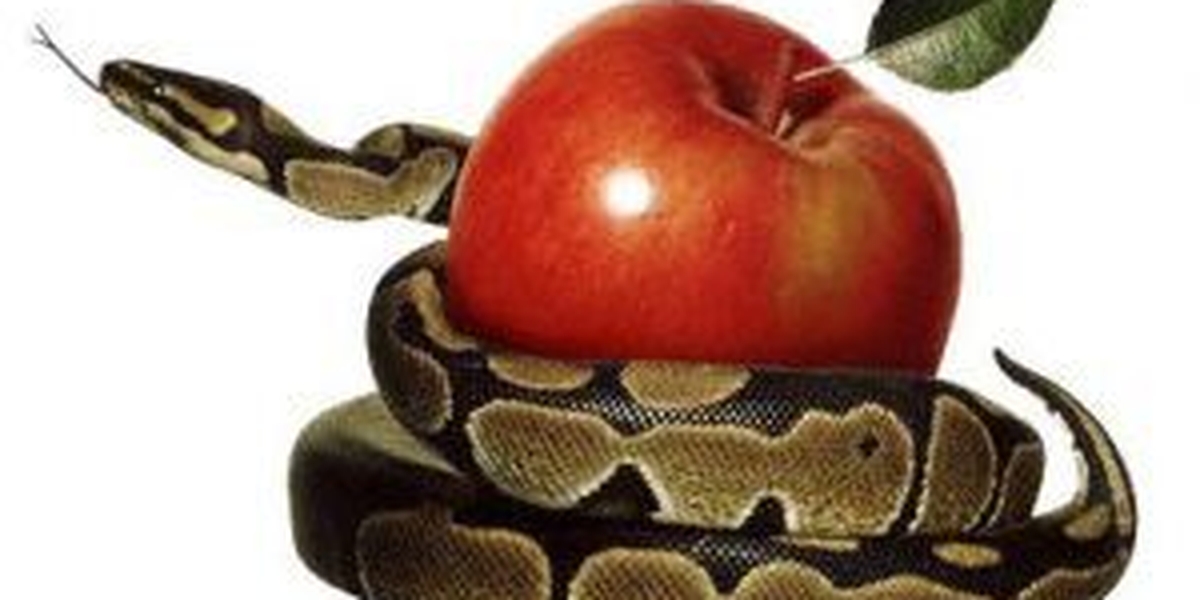 Custe o que custar Guiame