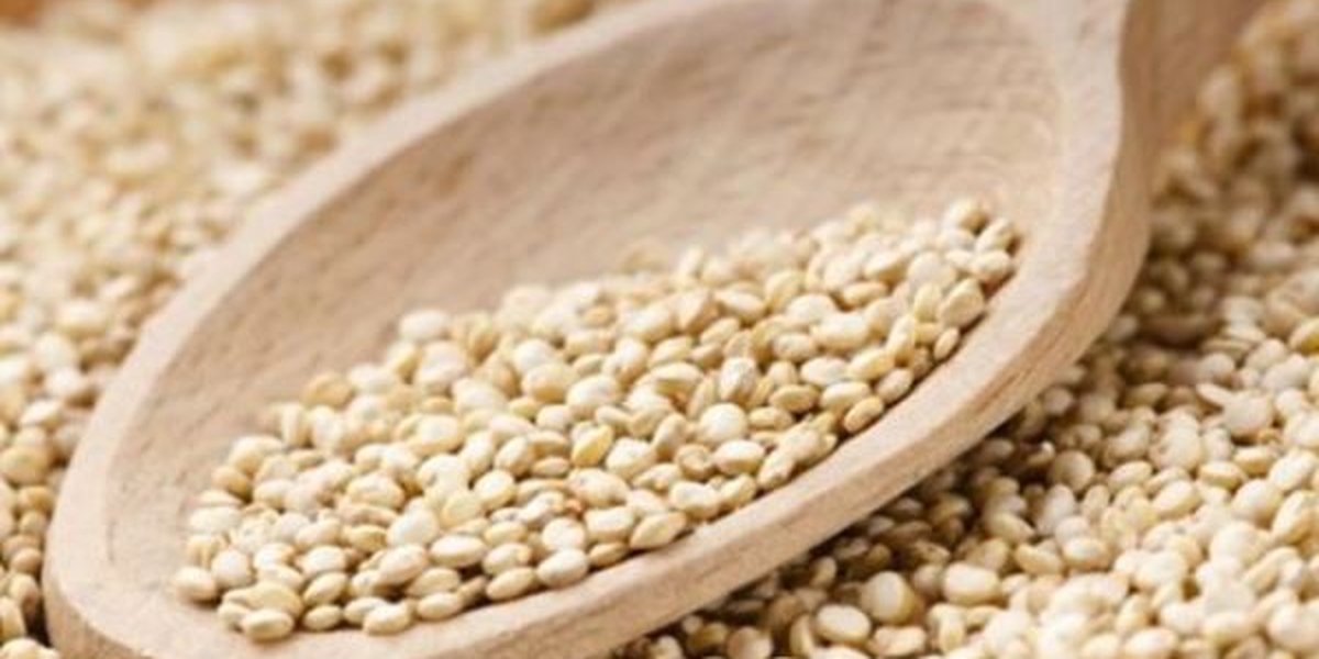 Conheça os benefícios da quinoa para a saúde Guiame