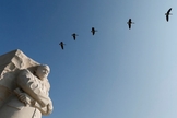 Estátua de gesso, em homenagem a Martin Luther King Jr.