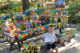Weston Newswanger celebrou seu aniversário de 5 anos ajudando outras crianças. (Foto: Reprodução/Facebook)