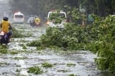 Veículo atravessa estrada repleto de pedaços de árvores que caíram em Manila, nas Filipinas