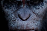 Planeta dos Macacos