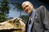 Cientista cristão critica declarações de Papa sobre Big Bang e evolucionismo