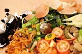 intoxicação alimentar