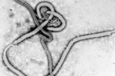 doença Ebola