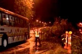 Galhos e árvores caíram impedindo passagem de veículos em Porto Alegre 