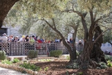 Getsemane