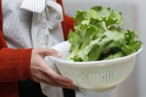 alimentos