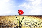 Resiliência