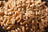 novos alimentos para dieta
