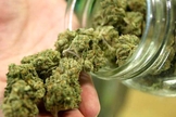 Maconha Medicinal