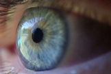 Olhos