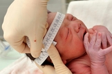 O surto de zika e microcefalia reacendeu a discussão do aborto legal. (Foto: Baby Center)
