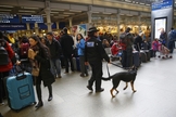 Policial passeia com cão farejador por estação de trem em Bruxelas. (Foto: Reuters)