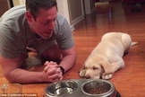 Nas imagens, o norte-americano Chris Credendino, dono do cãozinho apelidado de Kahlua, conduz a oração de gratidão pelo alimento. (Foto: Youtube/Chris Credendino)