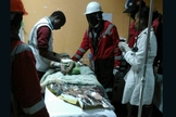 Bebê recebe tratamento médico, após ser resgatada de um desabamento em Nairóbi. (Foto: CNN)