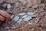 As moedas foram usadas por cristãos em fuga, há mais de 1.400 anos. (Foto: Autoridade de Antiguidades de Israel)