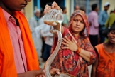 Mulher hindu derrama leite em uma cobra como oferta, em Allahabad, na Índia. (Foto: AP Photo/Rajesh Kumar Singh)