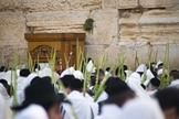 Judeus durante Festa dos Tabernáculos em Jerusalém, Israel. (Foto: First Fruits of Zion)