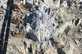 Árvores fossilizadas foram encontradas nos Montes Transantárticos da Antártica. (Foto: Copyright © 2017/ E. Gulbranson)