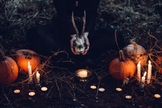 O Dia das Bruxas tem um significado mais profundo para ocultistas e satanistas. (Foto: Pexels/Freestocks)