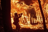 Bombeiro durante operação enquanto as chamas consomem uma casa em Magalia, na Califórnia. (Foto: Noah Berger/AP)