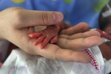 Imagem ilustrativa. Nova York aprova lei que permite aborto até o nascimento. (Foto: Reprodução/LifeSite News)
