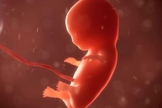 Foram encontrados mais de 2.200 restos mortais de bebês abortados na casa de Ulrick Klopfer. (Imagem: (CBN News)