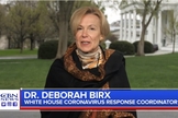 Deborah Birx é coordenadora de resposta da Casa Branca à Força-Tarefa Contra o Coronavírus. (Imagem: CBN News)