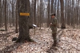 Vídeo mostra a capelã Amy Smith orando na Trilha Espiritual de Fort Drum. (Imagem: Youtube)