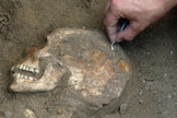 Arqueólogo descobre o crânio de um habitante de Sídon, que já foi um porto cananeu na costa do Líbano. (Foto: Mahmoud Zayat, AFP/Getty Images)