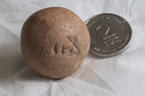 Antigo peso de dois siclos é descoberto próximo ao Muro das Lamentações. (Foto: Autoridade de Antiguidades de Israel)