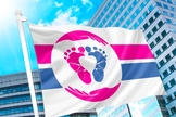 O Projeto Bandeira Pró-Vida revelou a bandeira que servirá como símbolo internacional do movimento pró-vida no sábado (24). (Foto: Pro-Life Flag Project). 