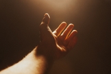 (Foto: Jackson David/Unsplash)