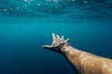(Foto: Cristian Palmer/Unsplash)