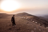 (Foto: Unsplash/Peyman Toodari)