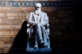 Estátua de Charles Darwin no Museu de História Natural de Londres. (Foto: CGP Grey/Flickr)