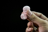 Maioria dos brasileiros são contra qualquer tipo de aborto e apoiam sua proibição. (Foto: Bruno Domingos/Reuters)