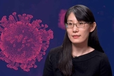 A cientista Li-Meng Yan denunciou que o coronavírus foi criado em laboratório e intencionalmente 'vazado' do local, na China. (Foto: World News Era)