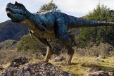 Pesquisador explica que os dinossauros são animais terrestres criados no sexto dia da criação. (Foto: Wikipedia)