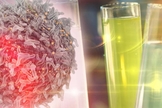 Pesquisa de imunoterapia de câncer com célula e tubo de ensaio. (Foto: Shutterstock)