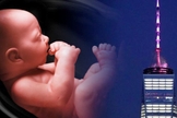 NY pode financiar aborto com recursos públicos. (Foto: Reprodução/Lounder)