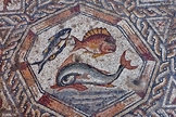 Parte do mosaico de 1.700 anos da era romana descoberto em Israel. (Foto: Assaf Peretz/ Autoridade de Antiguidades de Israel).