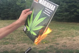Ex-viciado destrói materiais e queima revista sobre maconha. (Foto: Reprodução/YouTube)