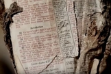 Fragmento da Bíblia em um pedaço de aço fundido dos escombros do 11 de Setembro. (Foto: Reprodução/FaithIt)
