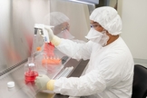 A empresa biofarmacêutica da Califórnia diz que um tratamento com anticorpos pode ser mais eficaz que uma vacina. (Foto: Reprodução/Sorrento Therapeutics)