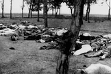 Cadáveres de armênios ao lado de uma estrada. (Foto: Reprodução/Wikimedia Commons)