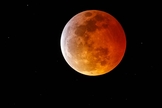 Fenômeno “lua de sangue”. (Foto: Rich Polk/Getty Images)